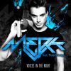 MERK FEAT. PETE WEDGE - Voices In The Night